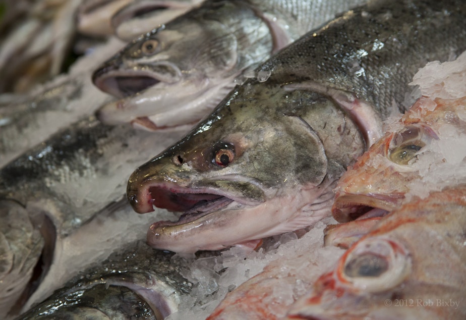 caption: File photo: salmon.