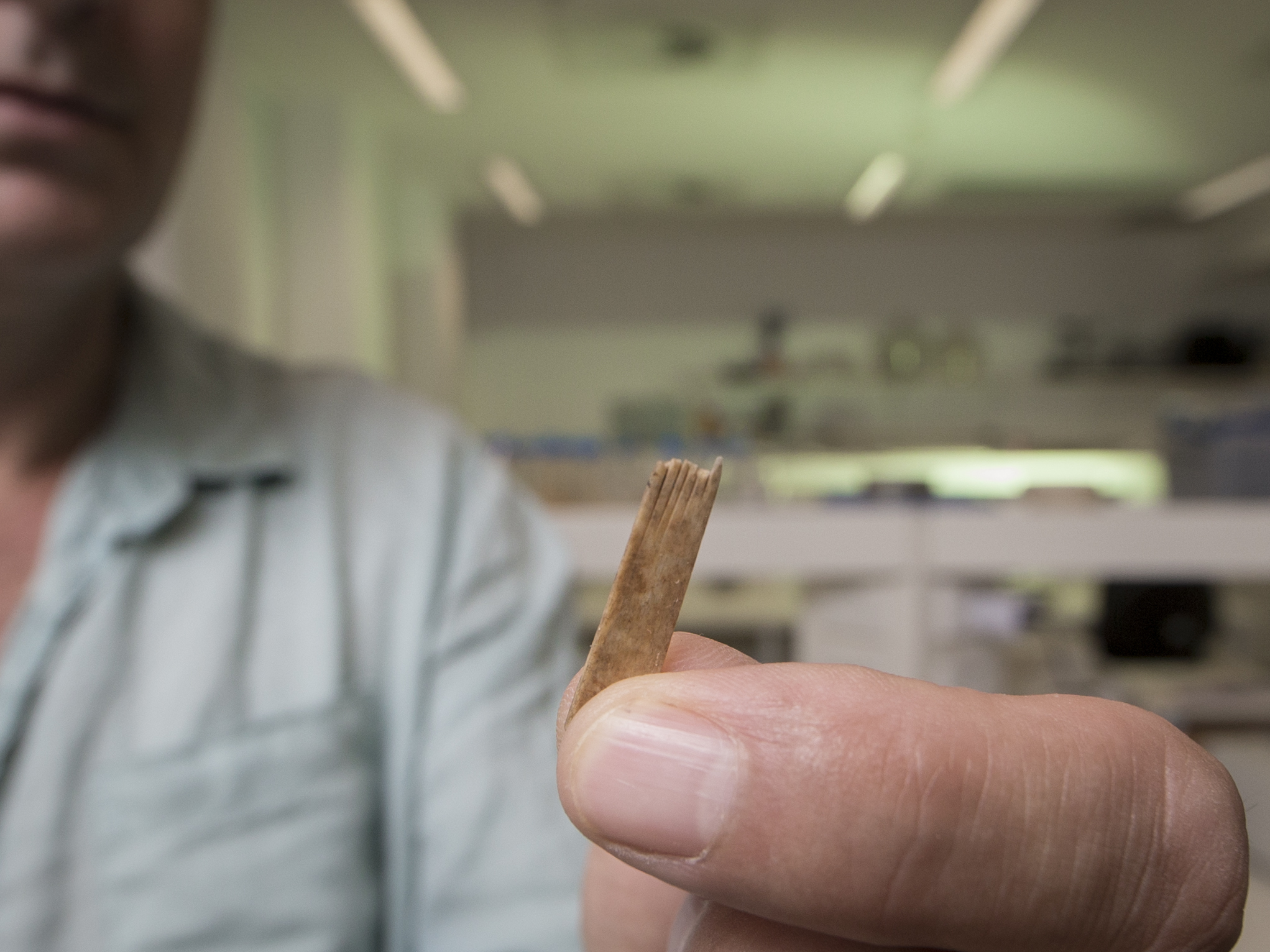 caption: Geoffrey Clark of Australian National University holds a bone comb from a tattooing kit found to be approximately 2,700 years old.