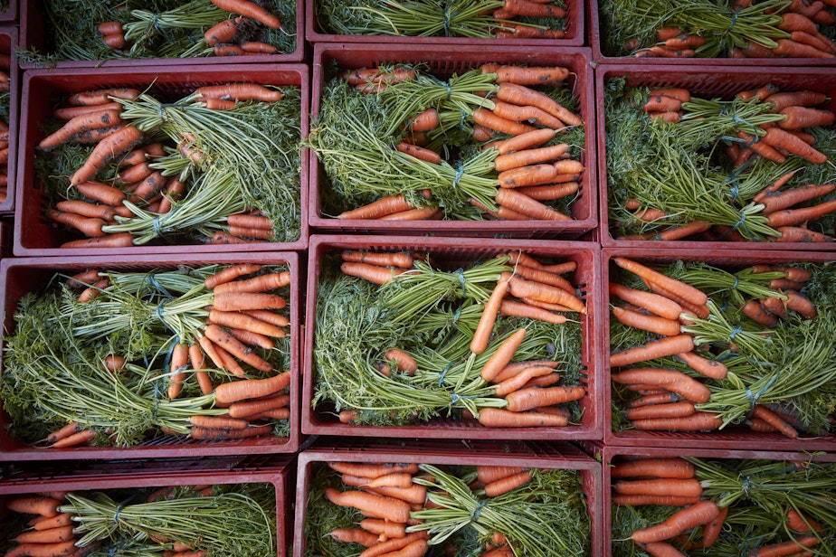 caption: Freshly picked carrots. (Kiran Ridley/Getty Images)
