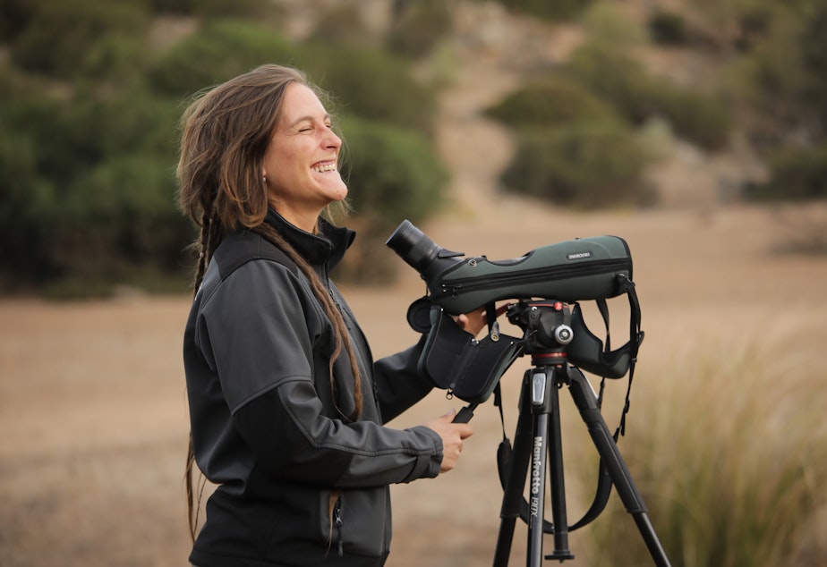 caption: Biologist Carmen Rueda Rodriguez uses a spotting scoop to look for Iberian Lynx.