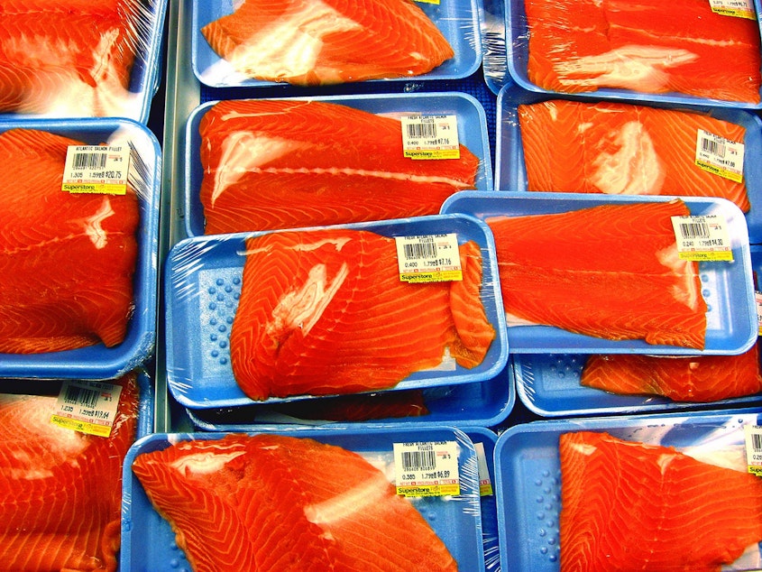 caption: Washington lawmakers will hear a bill to label genetically engineered salmon. The proposed bill would also ban transgenic salmon production in the state.