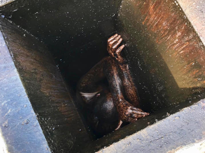 caption: A man was freed after spending two days crammed into a narrow grease vent in San Lorenzo, Calif. Officials say he's not being charged with a crime.
