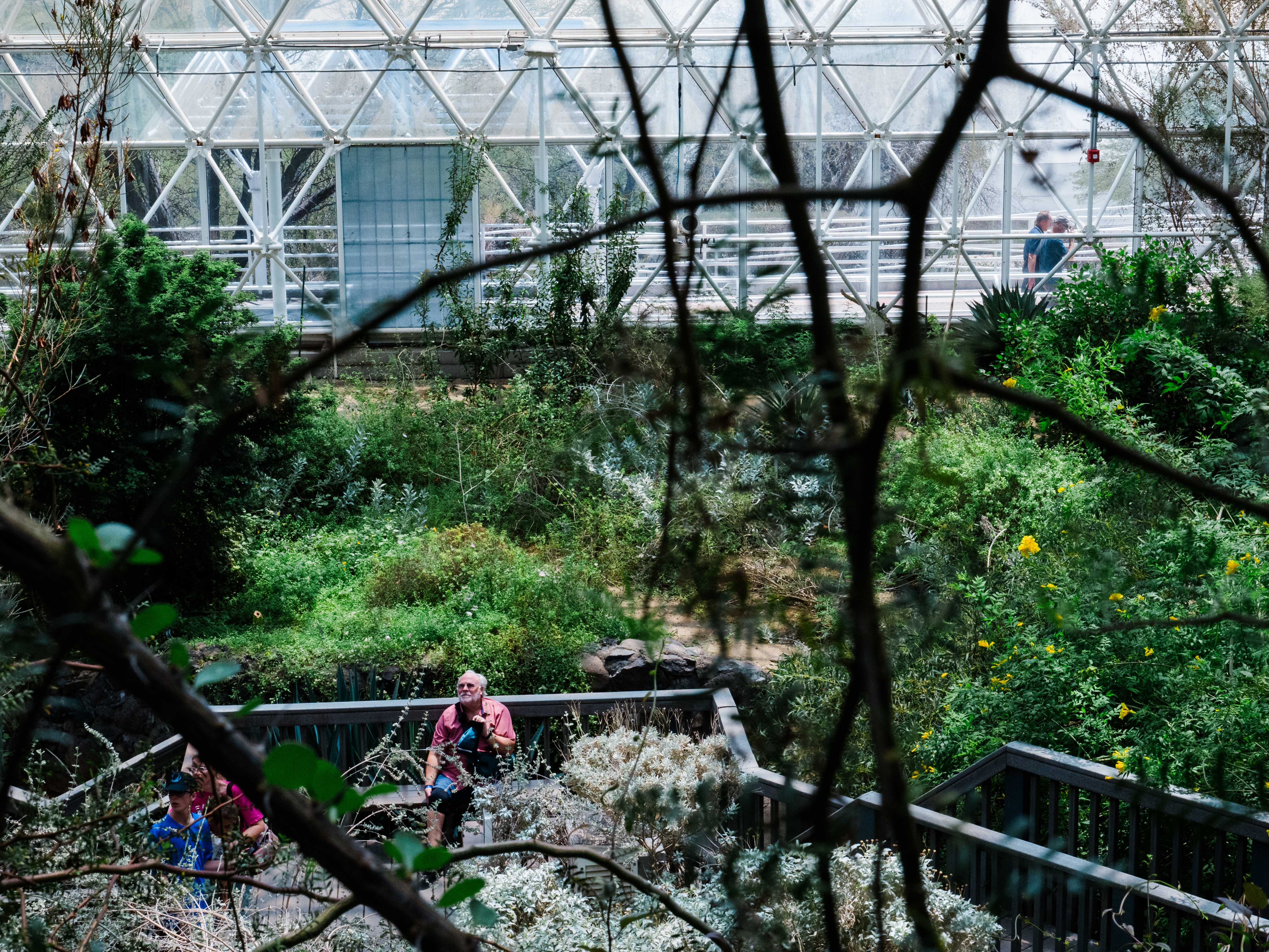 KUOW - Inside the evolution of Biosphere 2, from '90s punchline to  scientific playground