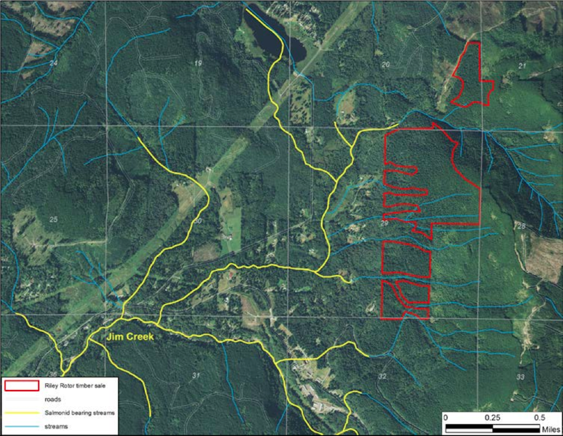 caption: DNR's proposed Riley Rotor timber sale in red, with salmon streams in yellow, near Oso, Wash.