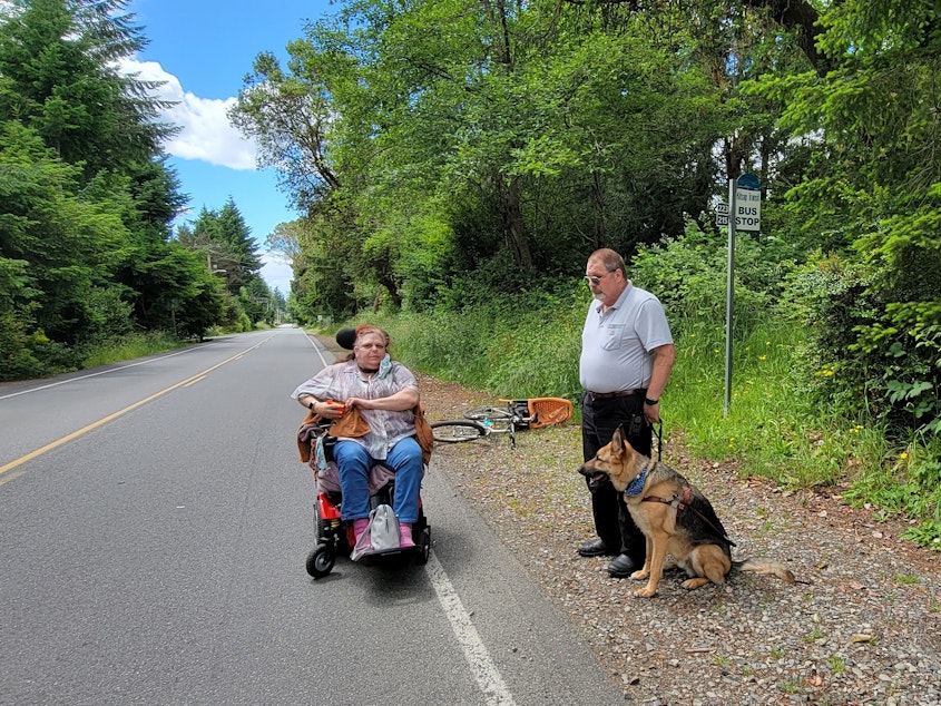 caption: A man and his dog, and a woman in a power chair wait in the gravel and along the shoulder at a bus stop on a rural road. People with disabilities chronicled their mobility challenges in a new report. 