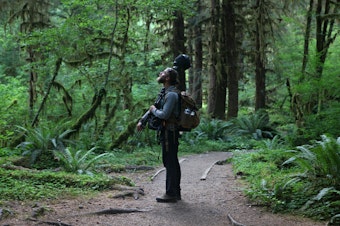 caption: Matt Mikkelsen carries "Fritz," his microphone system, to the path in the Hoh Rain Forest that leads to One Square Inch of Silence in Washington's Olympic National Park.CREDIT: SAMIR S. PATEL