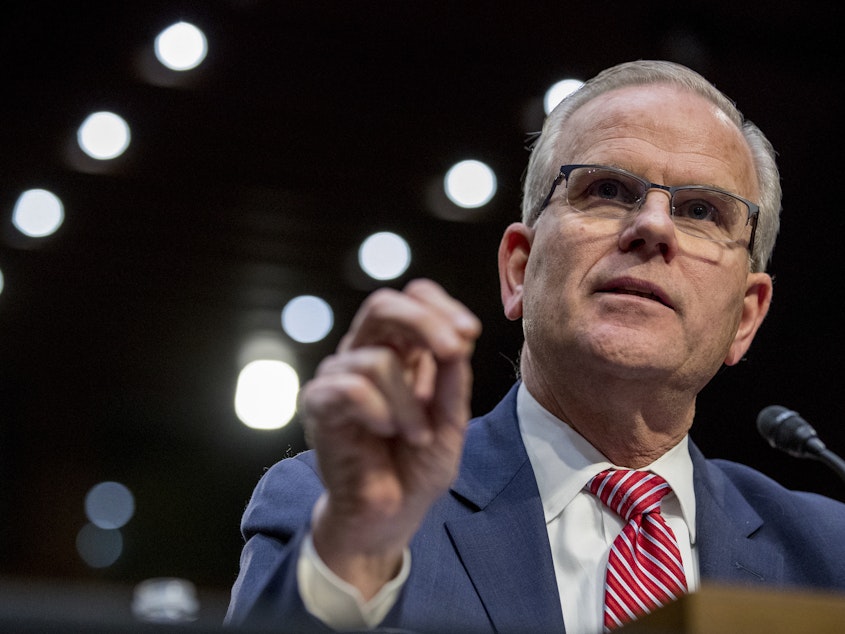caption: At a Senate hearing March 27, Daniel Elwell, acting director of the Federal Aviation Administration, said airline pilots had enough training to handle Boeing's flight control software.
