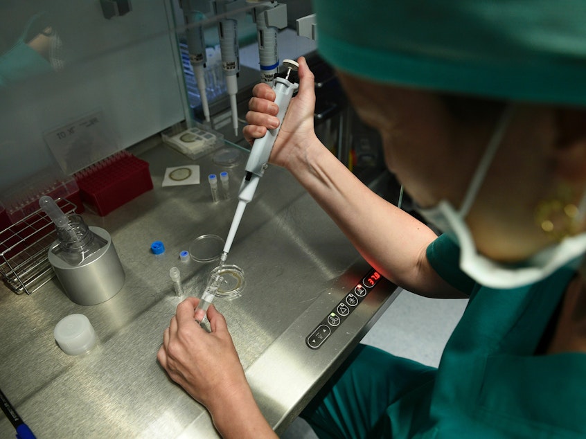 caption: A clinician prepares cells for in vitro fertilization, or IVF, the treatment for infertility. In the future, it could be joined by IVG, in vitro gametogenesis, a new process that could turn any cell first into a stem cell and then into a sperm or egg cell.