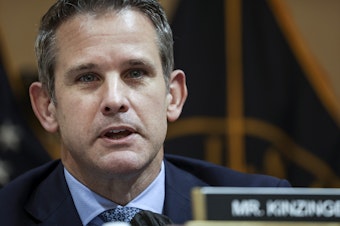 caption: Adam Kinzinger delivers remarks during the fifth hearing by the House Select Committee to Investigate the January 6th Attack, in June 2022.