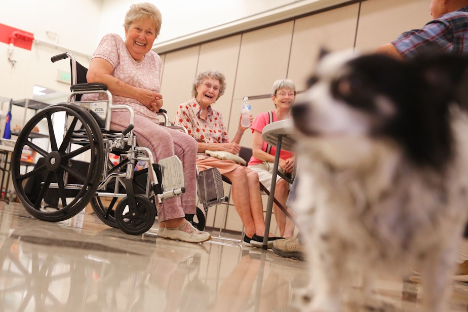 caption: Lilly Ann Sweeney, left, Thelma Davis, and Carolyn Embry, laugh at Sweeney's long-haired chihuahua, Scooter, as they take refuge from the heat in the Salvation Army White Center Community Center Cooling Center, Monday afternoon. Davis, who is 98 and moved to Seattle in 1959, said that she had never seen temperatures this high in the region. The National Weather Service recorded 108 degrees in SeaTac on Monday, setting an all-time record for the area.