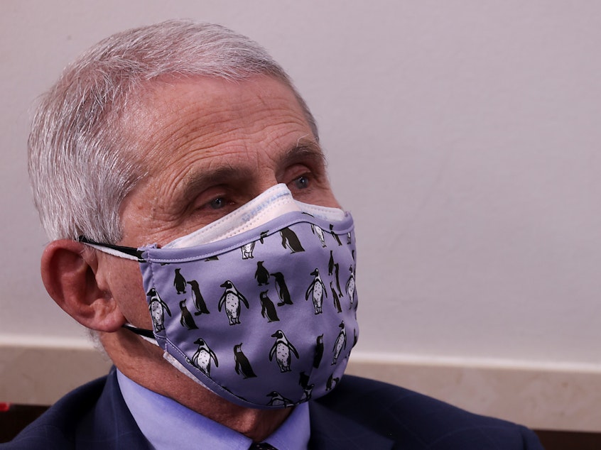 caption: Dr. Anthony Fauci, head of the National Institute of Allergy and Infectious Diseases, said Monday family gatherings over the holidays should be limited to fewer than 10 people.