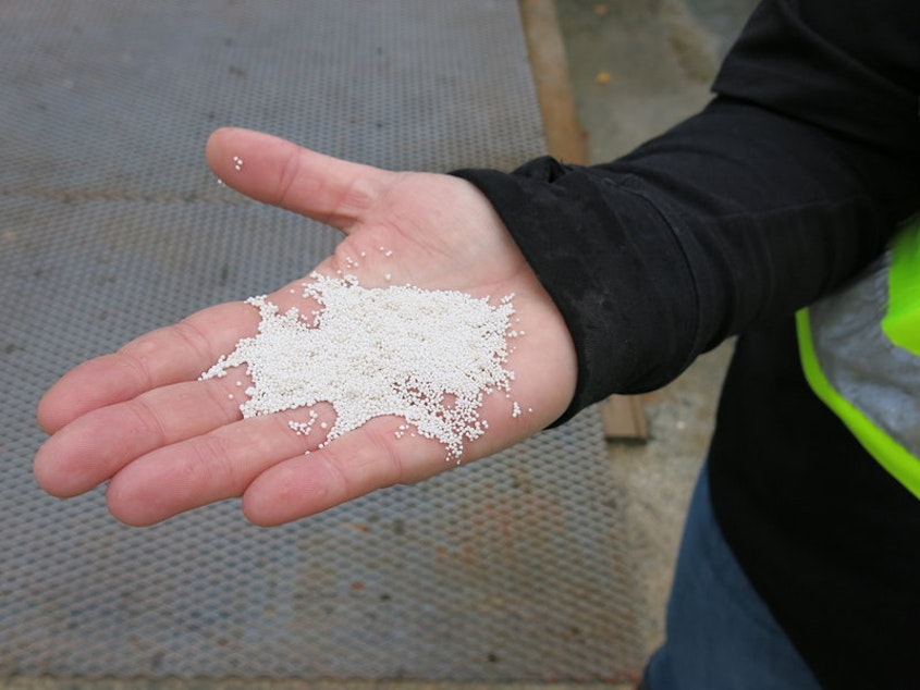 caption: McCahill holds pellets containing carbon dioxide that the company captured from the air. CREDIT: JEFF BRADY/NPR