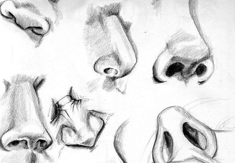 caption: Scents and sensibility.