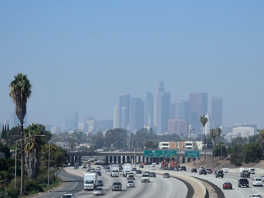 caption: An analysis of air quality and childhood asthma in Los Angeles found that kids' health improved when smog declined.
