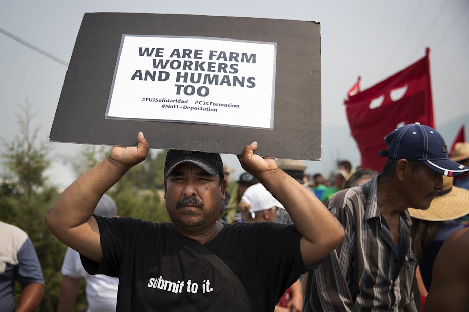 caption: Antonio Garcia marches with other farmworkers on August 8, 2017, near Sarbanand Farms in Sumas.