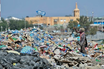 caption: A man picks through plastic waste at a garbage dump in Kenya.