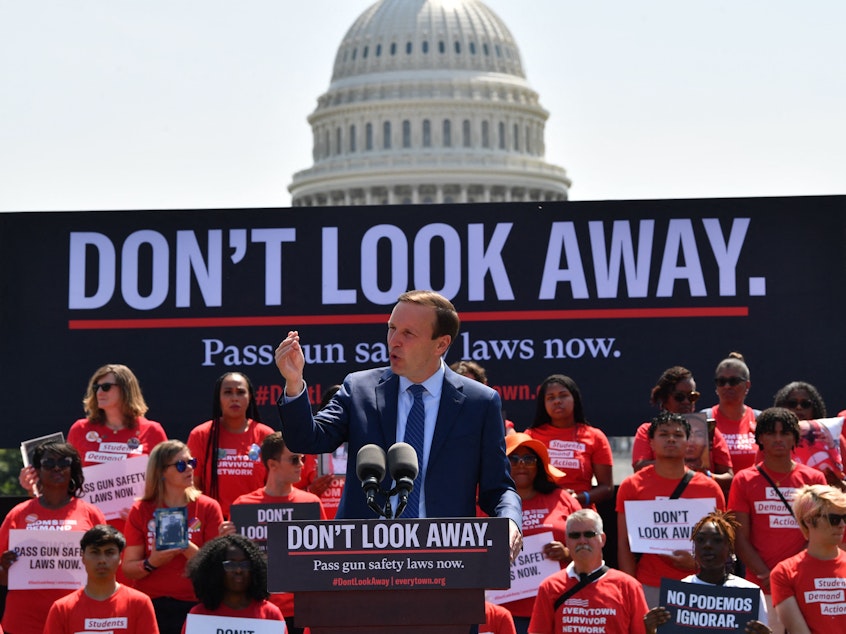 caption: Sen. Chris Murphy of Connecticut, the lead Democratic negotiator on a bipartisan gun bill safety bill, speaks to activists protesting gun violence and demanding action from lawmakers, on June 8 near the U.S. Capitol.