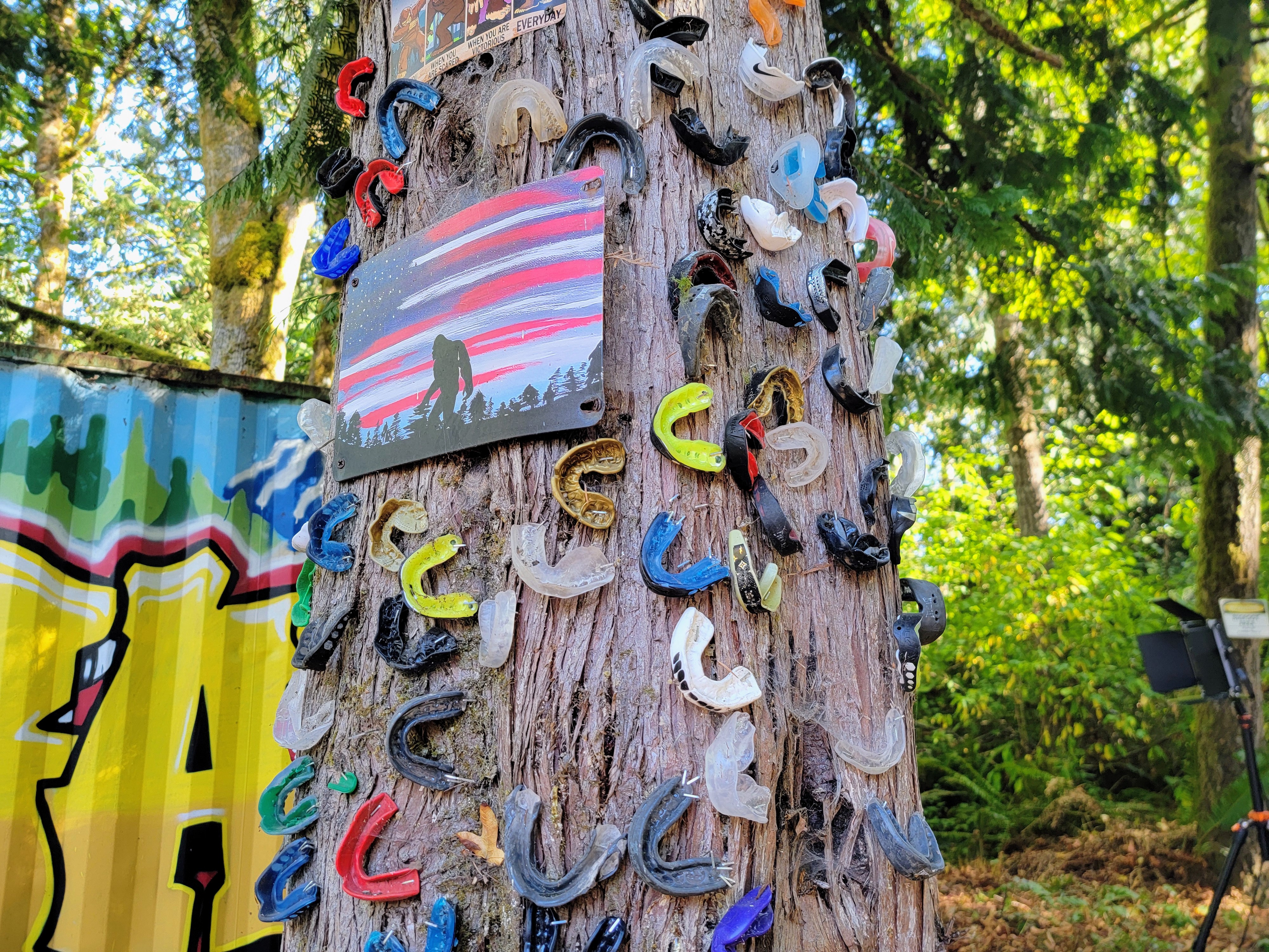 caption: Some fighters leave their mouth guard at the Scrapyard after their first match or win.