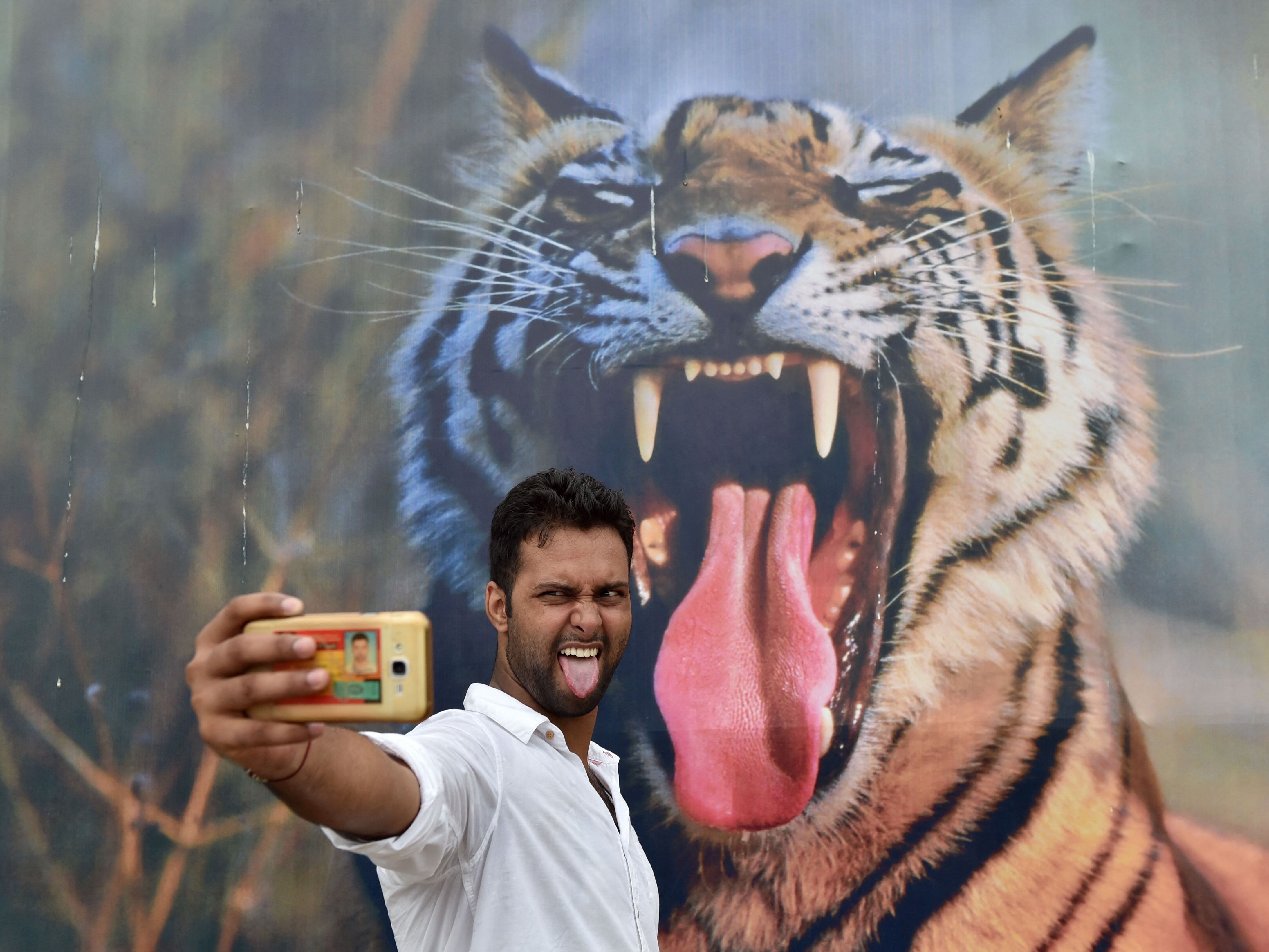 caption: If you want to put a tiger in your selfie, this Indian visitor has the right approach, posing in front of a photo of the feline at a New Delhi festival.