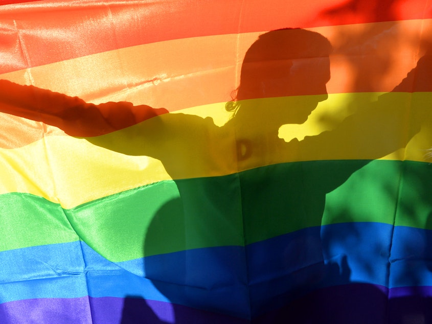 caption: An activist's silhouette is seen through a rainbow flag during a gay pride parade in Kiev on May 25, 2013.
