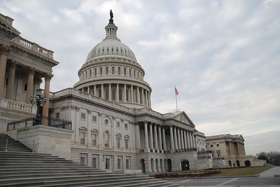 caption: The United States Capitol in Washington, D.C.