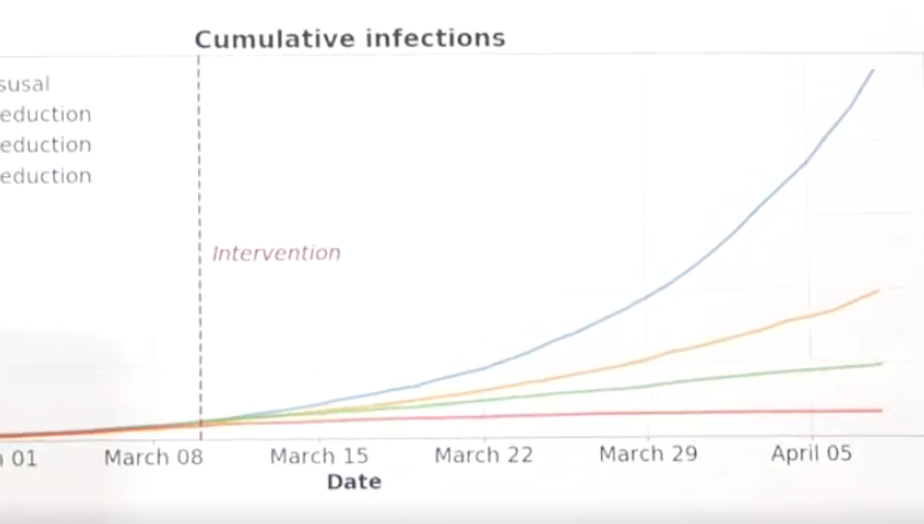caption: An analysis shows how the number of infections can be dramatically slowed with early intervention in transmission.
