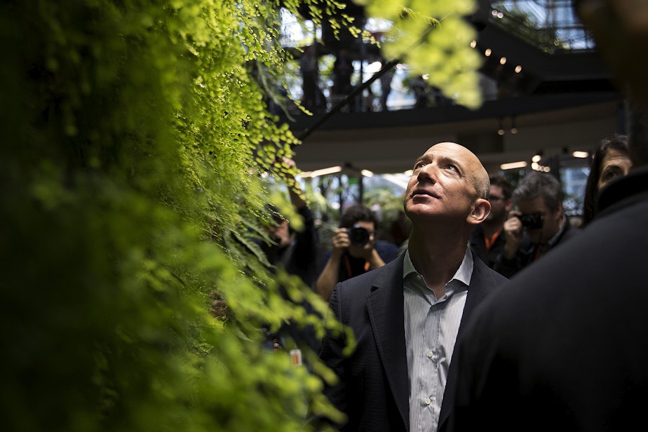 caption: Jeff Bezos looks up at the Canyon Living Wall on Monday, January 29, 2018, during the grand opening of Amazon's spheres in Seattle. 