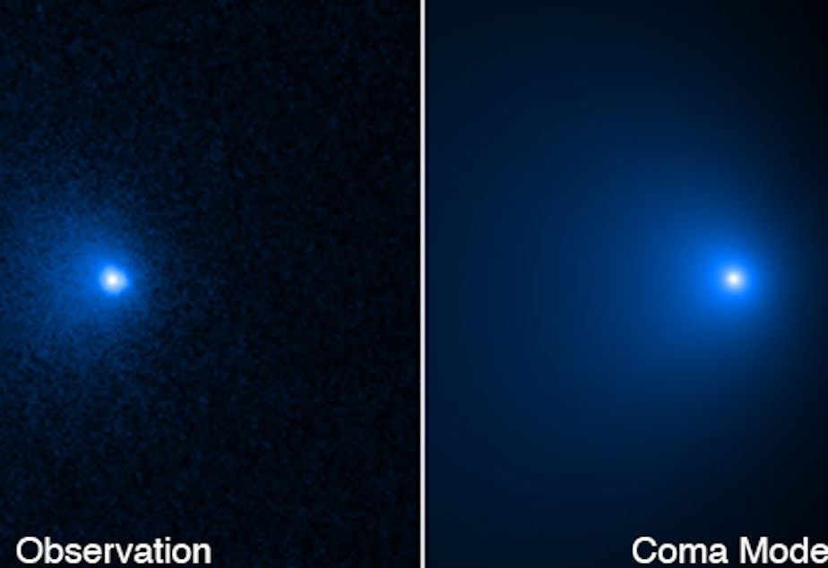 caption: This sequence shows how the nucleus of Comet C/2014 UN271 was isolated from a vast shell of dust and gas surrounding the solid icy nucleus. On the left is a photo of the comet taken by the NASA Hubble Space Telescope's Wide Field Camera 3 on Jan. 8. A model of the coma (middle panel) was obtained by fitting the surface brightness profile assembled from the observed image on the left.