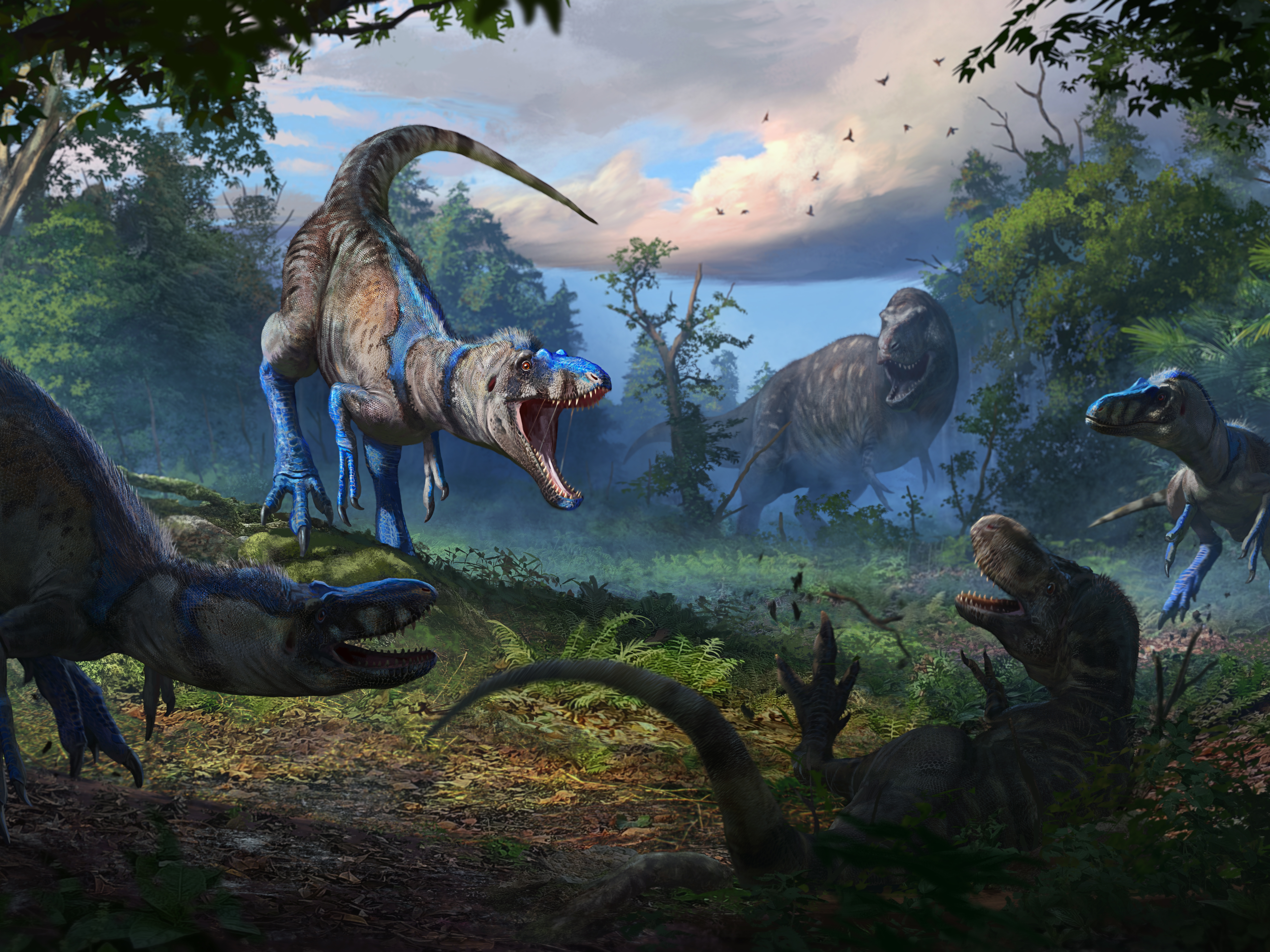 caption: In this illustration, a pack of <em>Nanotyrannus</em> attacks a juvenile <em>T. rex. </em>Scientists say a well-known fossil shows that there was more than one tyrannosaur species roaming the Earth. <br>
