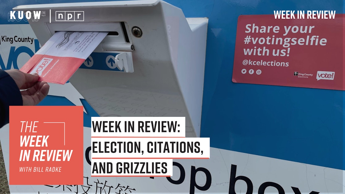 本周回顾：选举、引文和灰熊