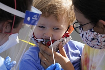 caption: Penny Brown, 2, is held by her mother, Heather Brown, as her nose is lightly swabbed during a test for COVID-19 at a new walk-up testing site at Chief Sealth High School, Friday, Aug. 28, 2020, in Seattle. The child's daycare facility requires testing for the virus. The coronavirus testing site is the fourth now open by the city and is free. 