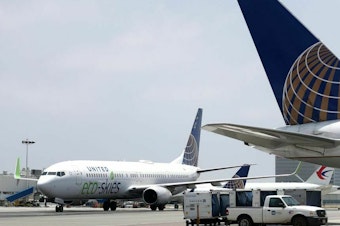 caption: A United Airlines Boeing 737-900ER arrives at Los Angeles International Airport in 2019.