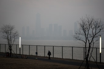 caption: A man walks along the Yangtze River in Wuhan, the city in China where the novel coronavirus was first identified.
