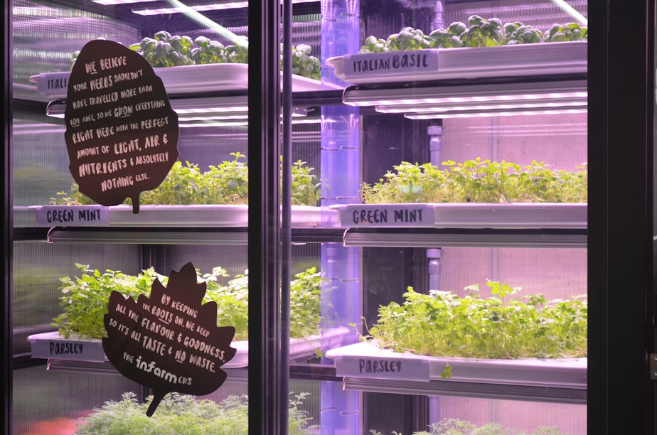 caption: Two Seattle-area QFCs have vertical farms, which grow food indoors using energy from LED lights. QFC plans to expand vertical farming to all of its Pacific Northwest stores.