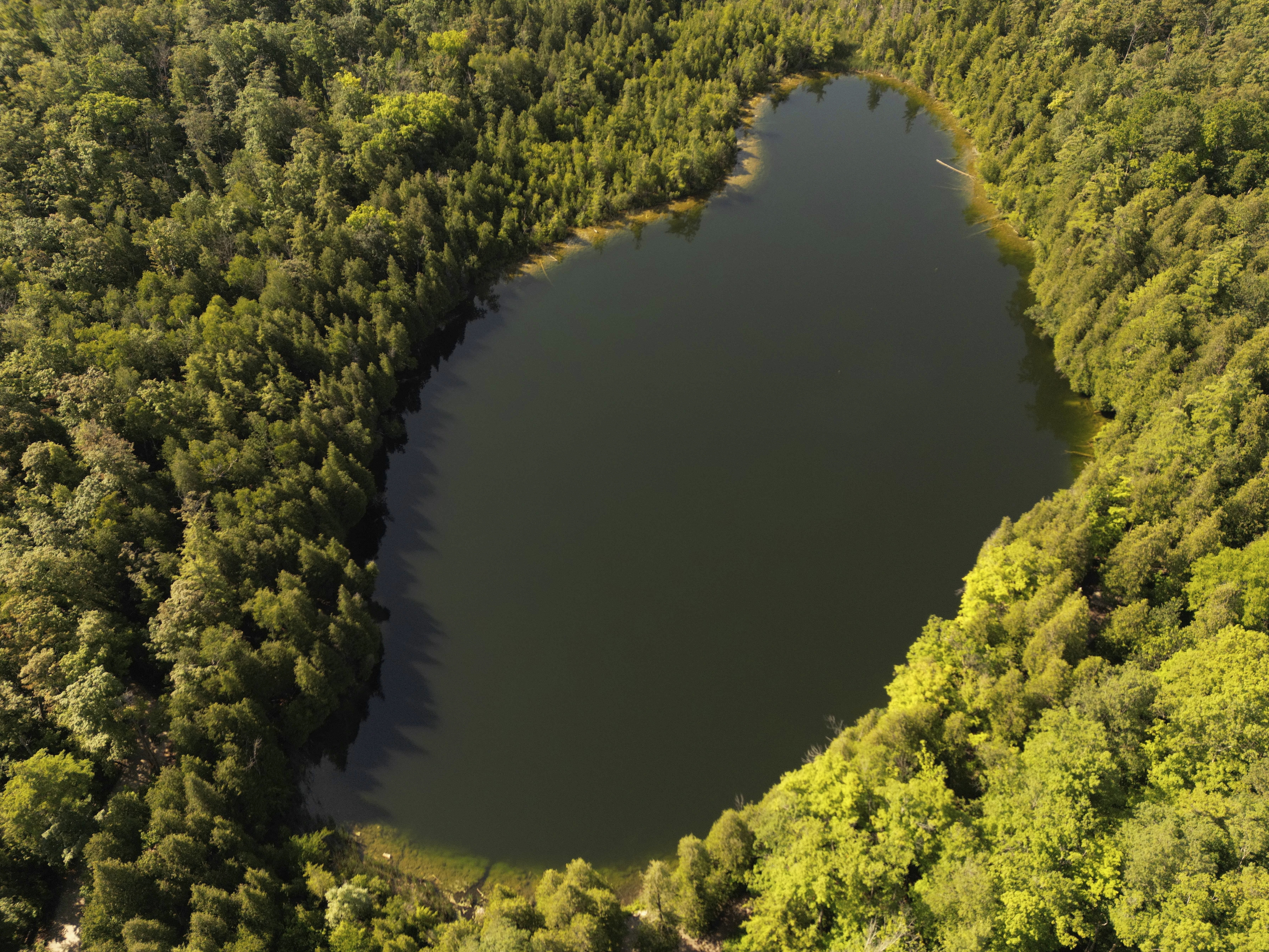 caption: Trees surround Crawford Lake in Milton, Ontario., on Monday, July 10, 2023. A team of scientists is recommending the start of a new geological epoch defined by how humans have impacted the Earth should be marked at the pristine Crawford Lake outside Toronto in Canada.