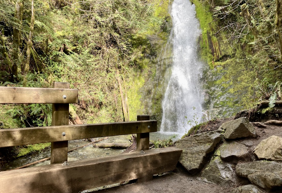 caption: The trail to Madison Falls ends with an unobscured view of the waterfall. 