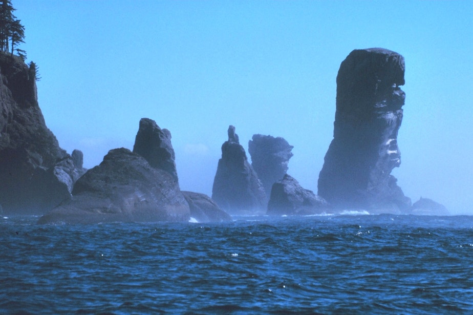 caption: Fuca Pillar at Cape Flattery, the northwest extremity of the Olympic Peninsula. Olympic Coast National Marine Sanctuary, Washington.