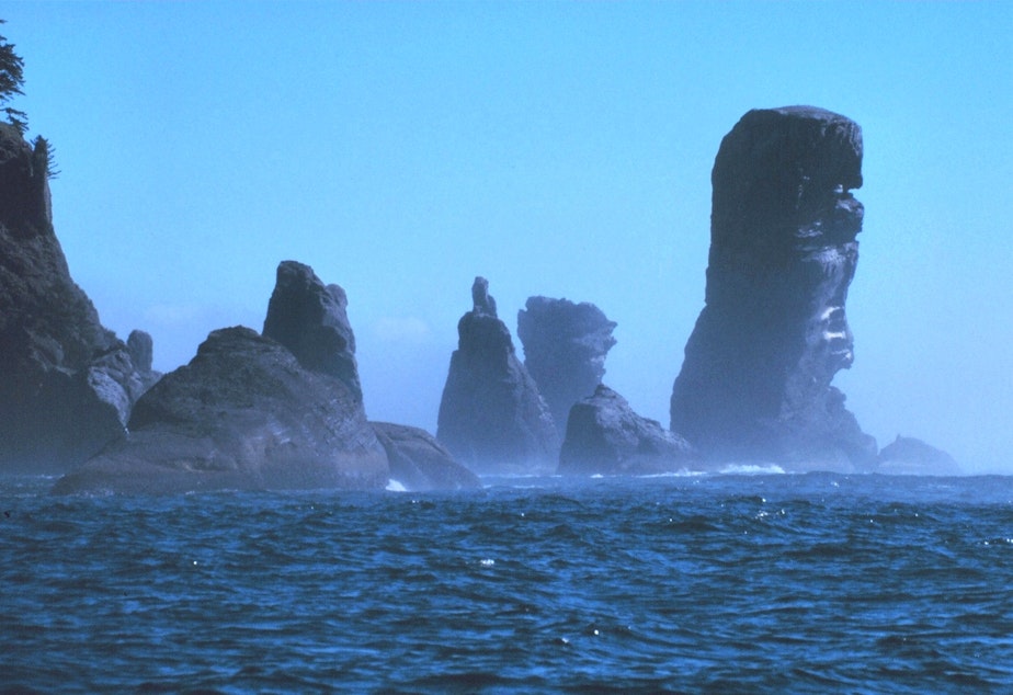 caption: Fuca Pillar at Cape Flattery, the northwest extremity of the Olympic Peninsula. Olympic Coast National Marine Sanctuary, Washington.