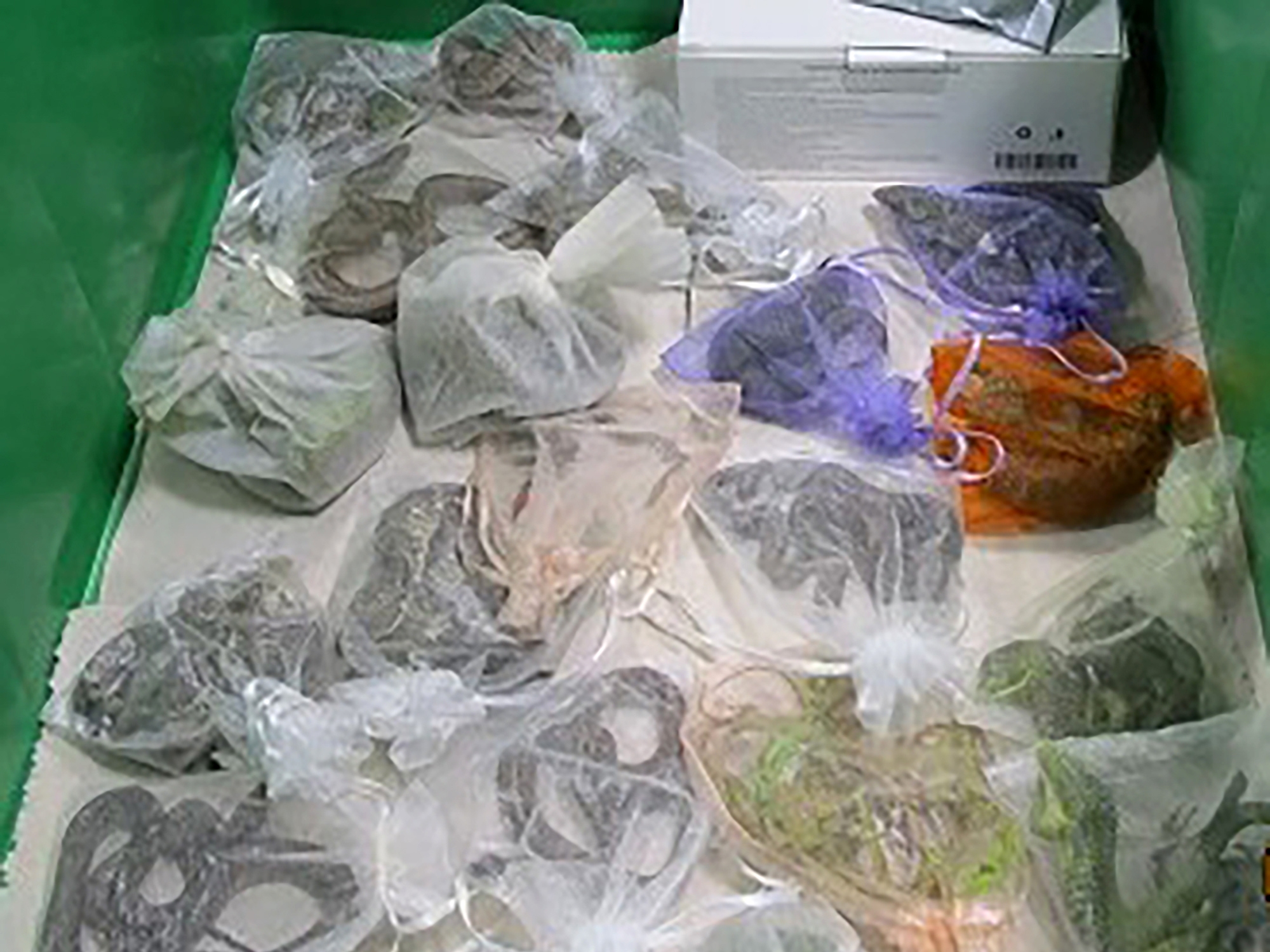 caption: This February 2022 photo provided by U.S. Customs and Border Protection shows snakes in bags found hidden in a man's clothes at the San Ysidro, Calif., port of entry. On Tuesday, officials in China said a man was caught trying to smuggle more than 100 snakes into that country.