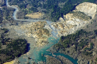 caption: A massive mudslide on March 22, 2014 in Oso, Washington killed 43. Pictured here is the mudflow taken on Monday, March 24, 2014.