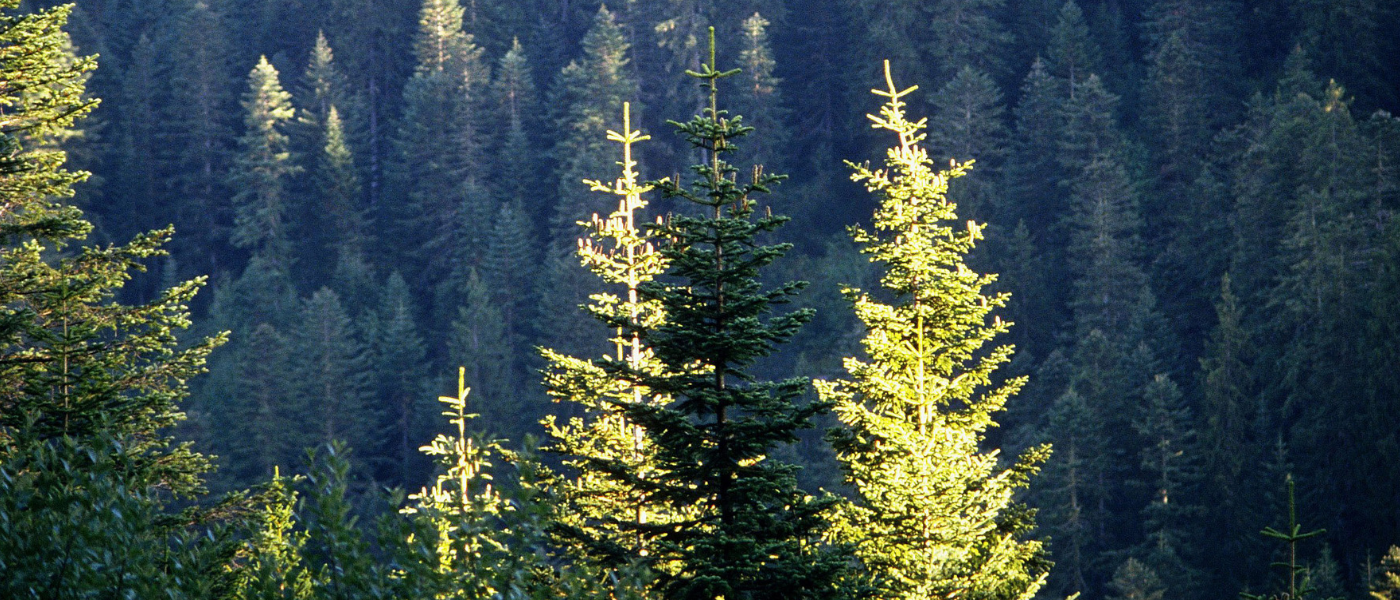 Eaw Landing Page Header