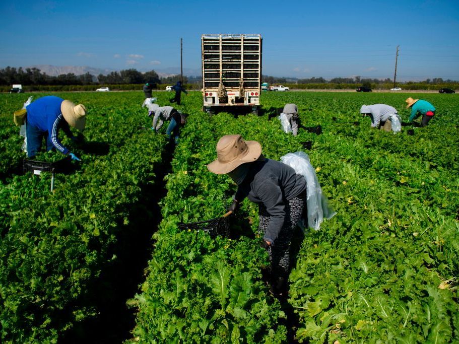 caption: The Supreme Court found that a law that allowed farmworkers union organizers onto farm property during nonworking hours unconstitutionally appropriates private land.