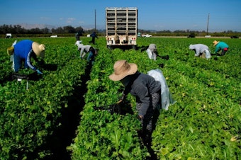 caption: The Supreme Court found that a law that allowed farmworkers union organizers onto farm property during nonworking hours unconstitutionally appropriates private land.