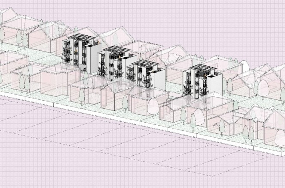 caption: Carrie Kamakaala's project imagines apartment buildings in people's backyards, while preserving existing homes along the street. Her project's unit costs were among the lowest in the class.
