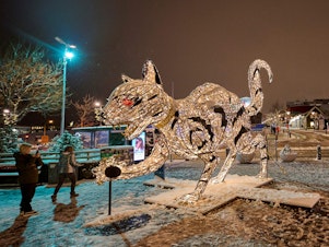caption: An illuminated cat sculpture in downtown Reykjavik on November 29, 2021. Icelandic folklore tells of a giant cat that eats children who don't wear their new clothes at Christmas time.