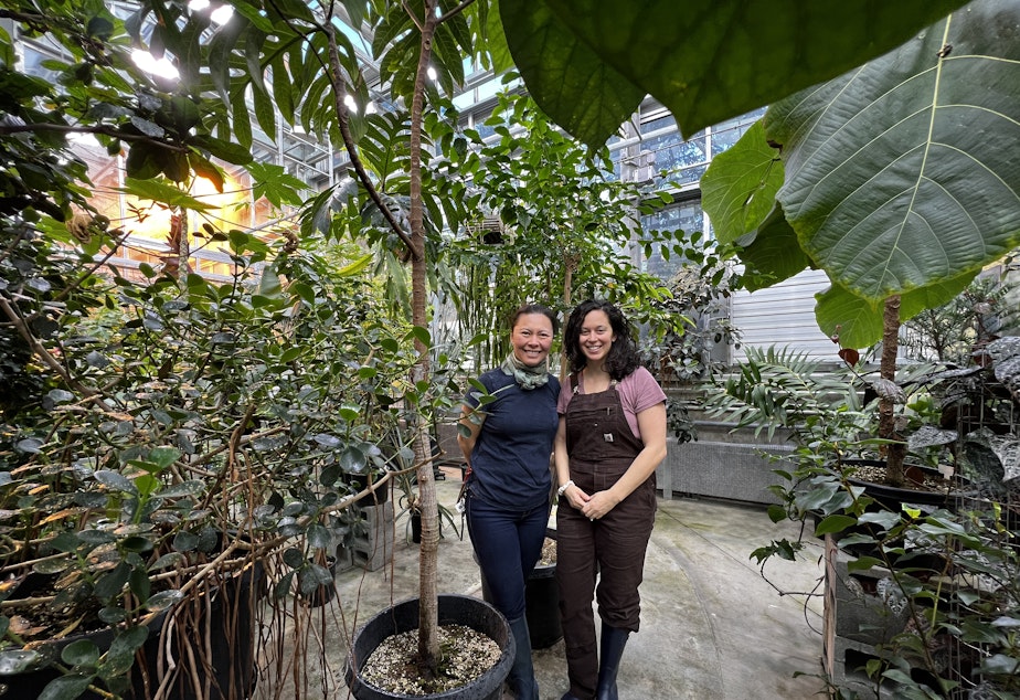 caption: Plant techs Melissa Lacey (right) and Nile Kurashige. The staff at the greenhouse are tasked with hand watering every plant in the massive collection every day. 
