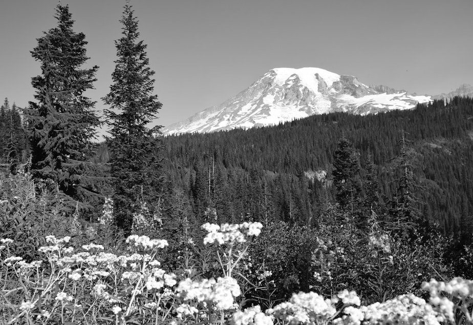 caption: Mount Rainier National Park.