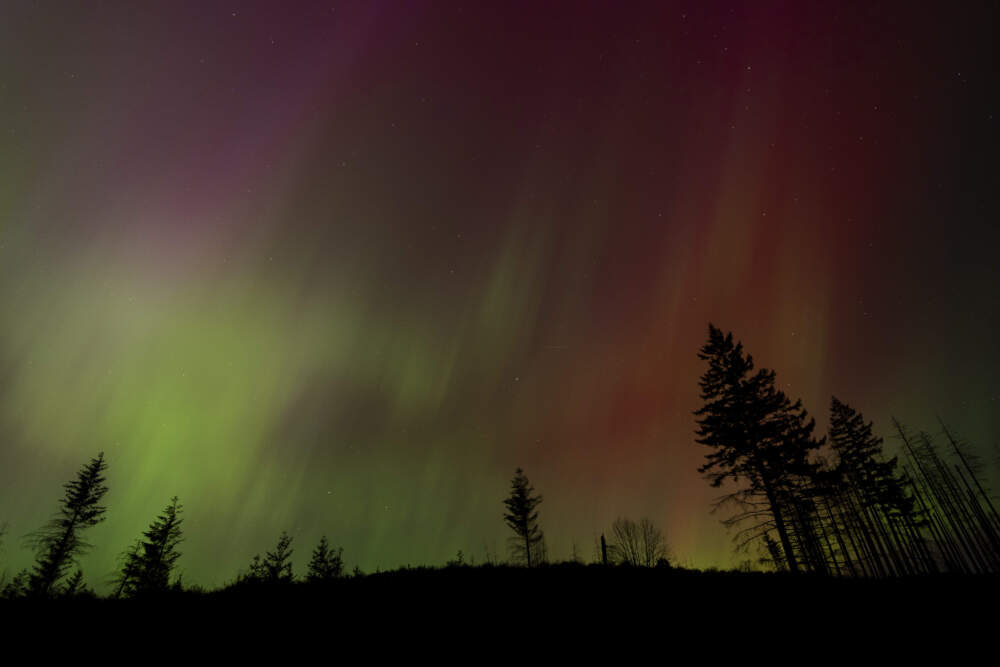caption: Northern lights are seen in the sky in Oregon. (Jenny Kane/AP)