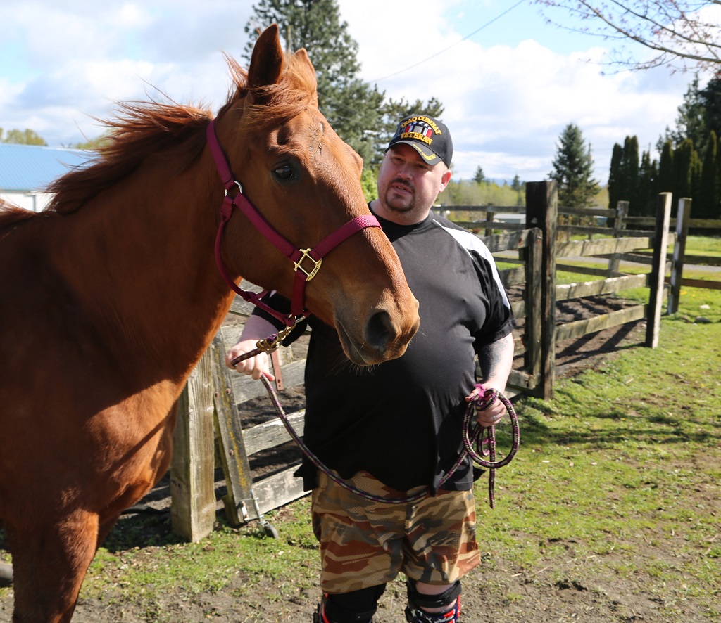 caption: Veteran Richard Dykstra leads Abby in a corral for equine therapy as part of the Animals as Natural Therapy program north of Bellingham, Wash.