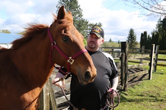 caption: Veteran Richard Dykstra leads Abby in a corral for equine therapy as part of the Animals as Natural Therapy program north of Bellingham, Wash.